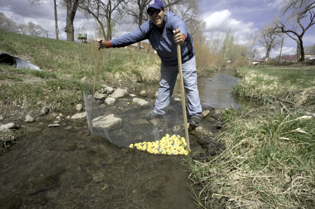 Going Quackers Duck Race