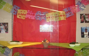 Photo of Library display