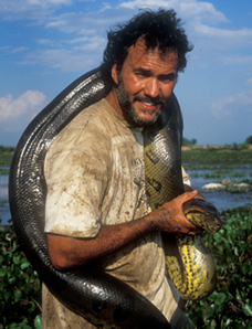 Photo of Professor Jesus Rivas holding a boa constrictor s