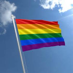 Photo of LGBTQAI+flag