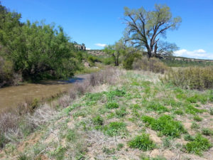 image of Rio Mora Wildlife Refuge