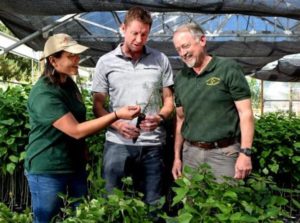 Photo of scientists examining plants in greenhouse.