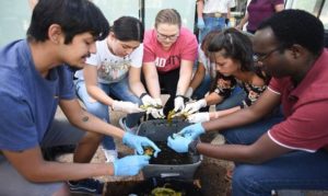 Photo of a group of students roasting chiles