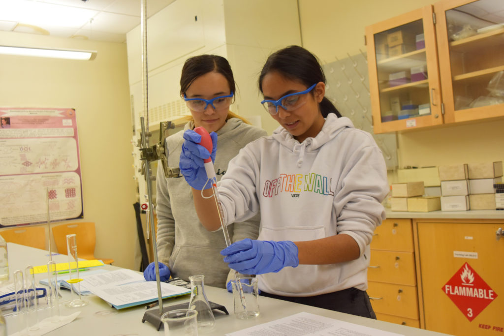 Photo of two students working together in chemistry lab.