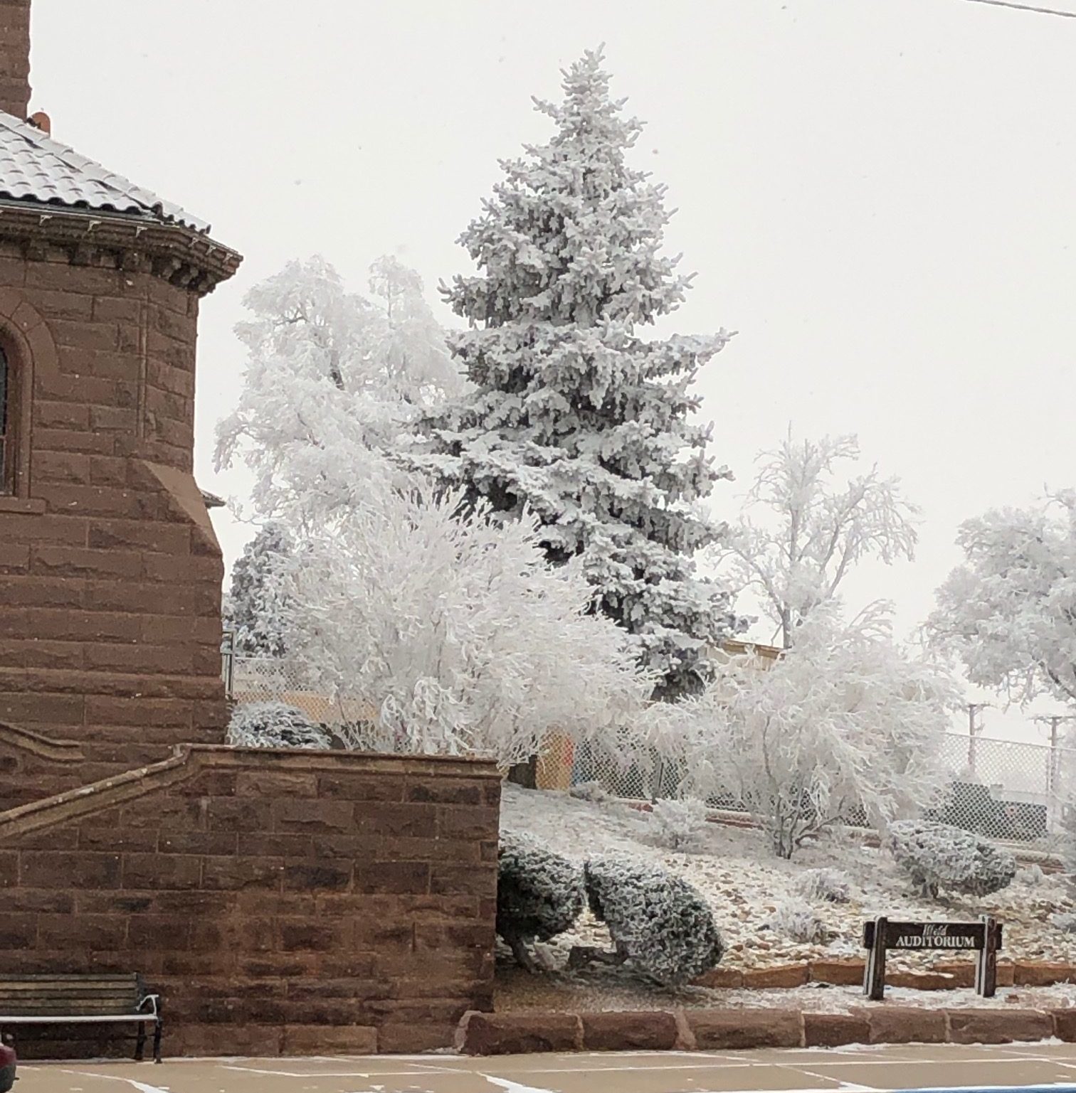 Snowy scene outside Ilfeld Auditorium.