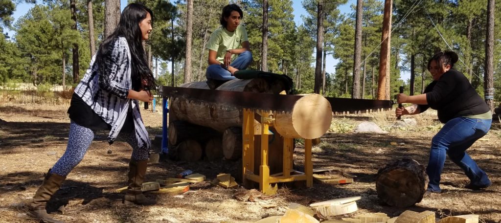 Forestry students using a large saw to cut a tree trunk.
