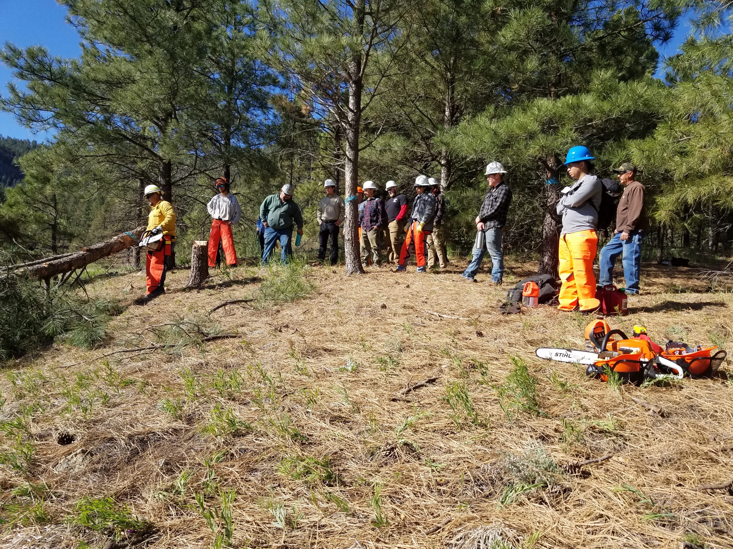 Forestry students gather in the field.