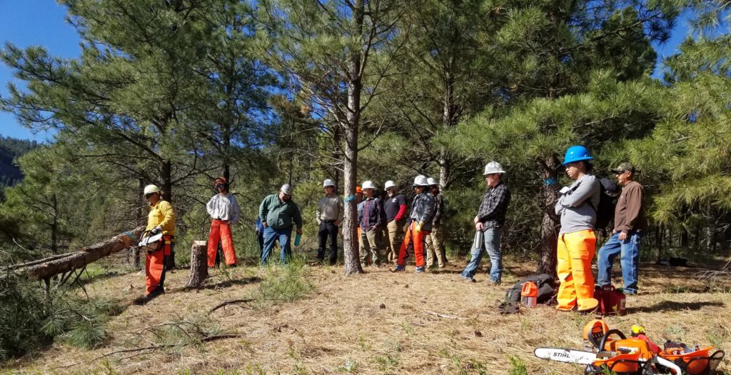 Forestry students gather in the field.