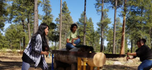 Photo of Forestry students using a large saw to cut a tree trunk.