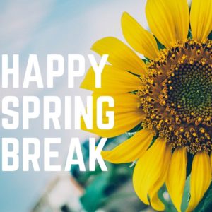 Image of sunflower with text reading "Happy Spring Break"