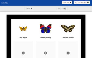 ButtARfly image prototype