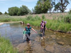 Three STEAMM students wade in the river