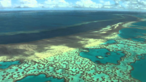 View of Great Barrier Reef, in Australia, from above.