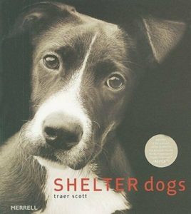 Book cover image of shelter dog