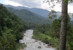 Tropical river in Australia