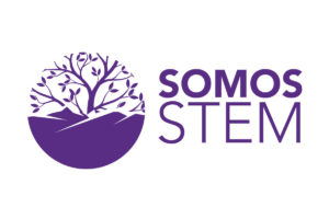 SOMOSstem Header logo