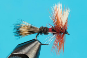 photo of Royal Wulff fly tie