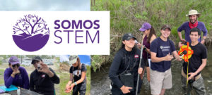 SomosSTEM collage of logo, students in the field