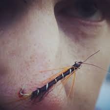 Image of fishing fly-hook embedded in someone's nose