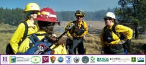 Photo of forestry team in safety gear with logos beneath the photo