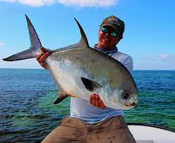 Photo of permit fish