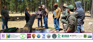 Photo of a group of forestry professionals speaking together in the woods with logos beneath the frame.