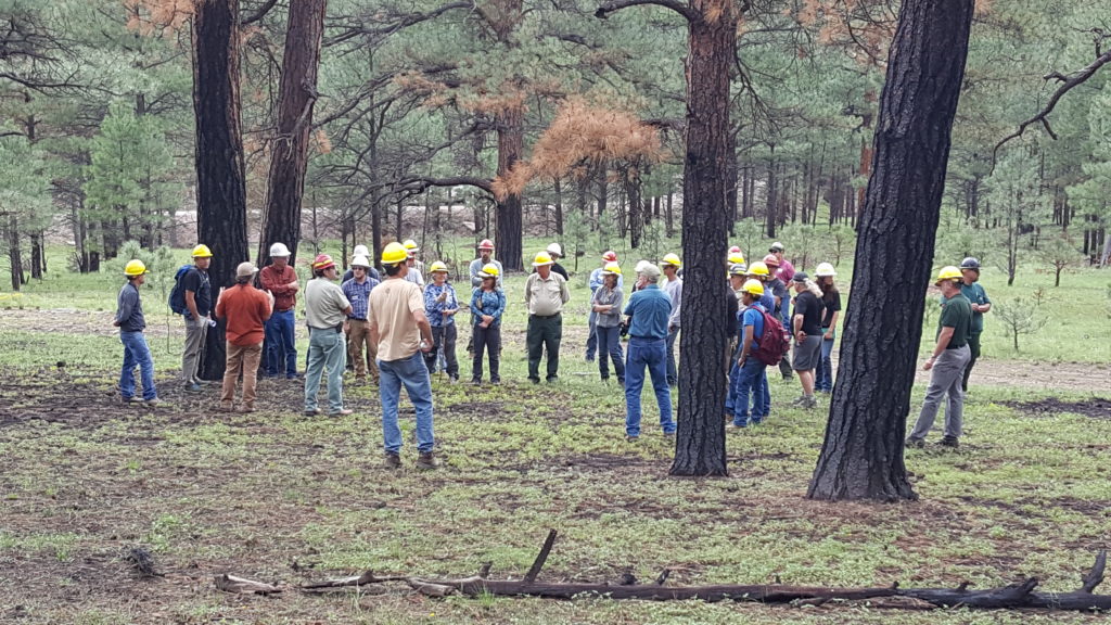 Team members from the New Mexico Watershed and Forest Restoration InstituteNew Mexico gather with foresters in the Gila National Forest to discuss catastrophic wildfire mitigation