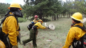 Monitoring crew members from the New Mexico Forest and Watershed Restoration Institute, including Carly Drobnick and Richard Pratt, go through wildland fire fighting exercises as part of their field training. 
