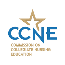 CCNE logo