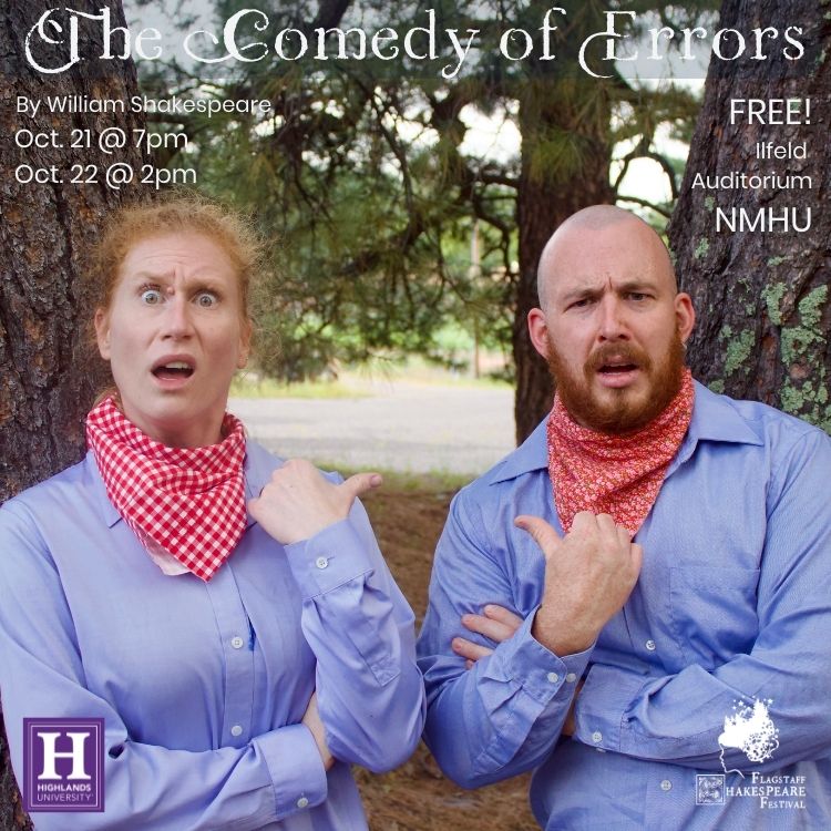 Comedy of Errors poster