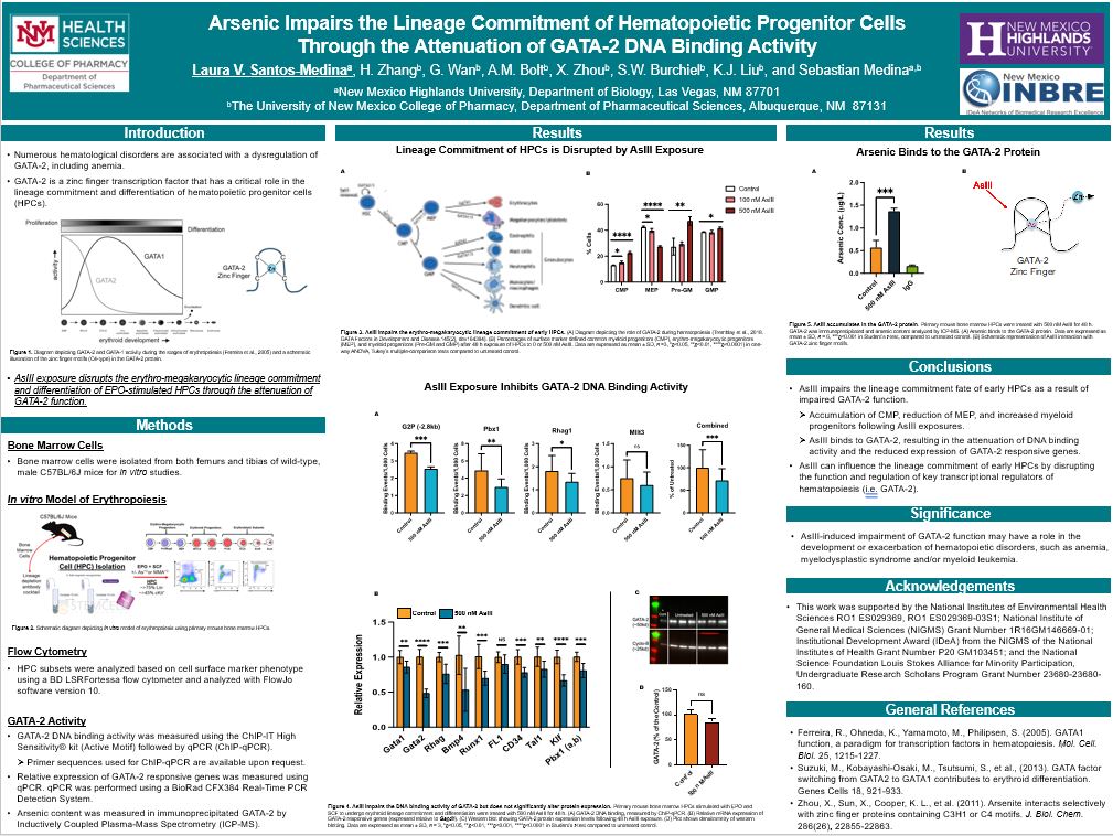 Detailed poster reflecting hematological research process