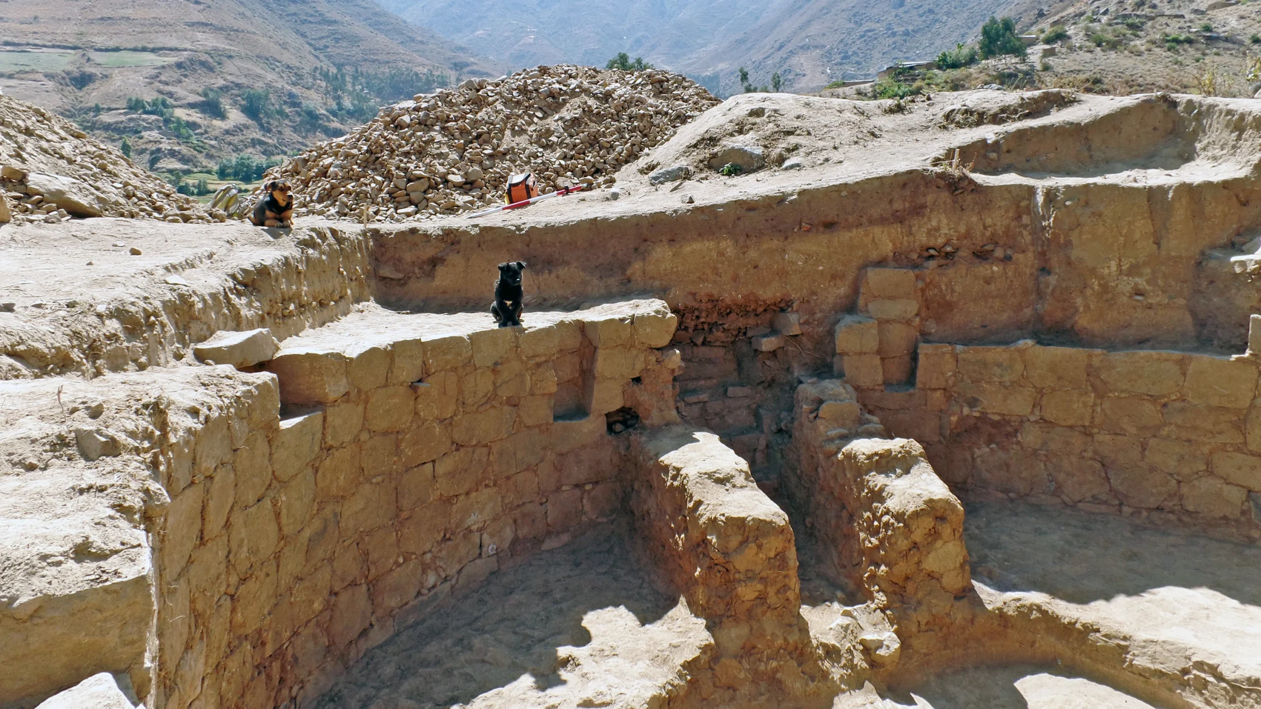 NMHU’s Munro Recently Awarded American Association of University Women’s American Postdoctoral Research Leave Fellowship