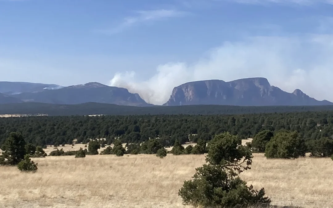 Independent Study Shows Nearly a Quarter-Billion Dollars in Damages to Highlands from Federally Caused Fire