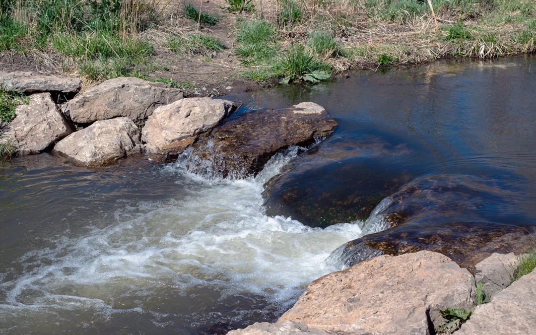 NMHU Undergraduate Research Project Explores Fungal Communities Across New Mexico Ecosystems