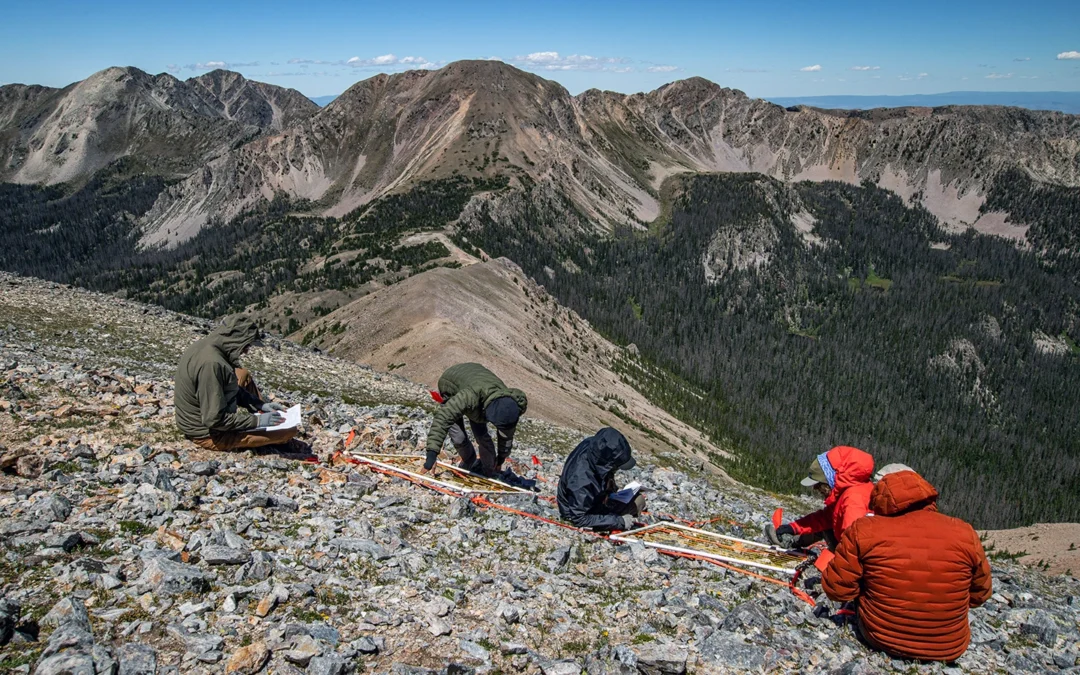 Researchers on a mountainside.